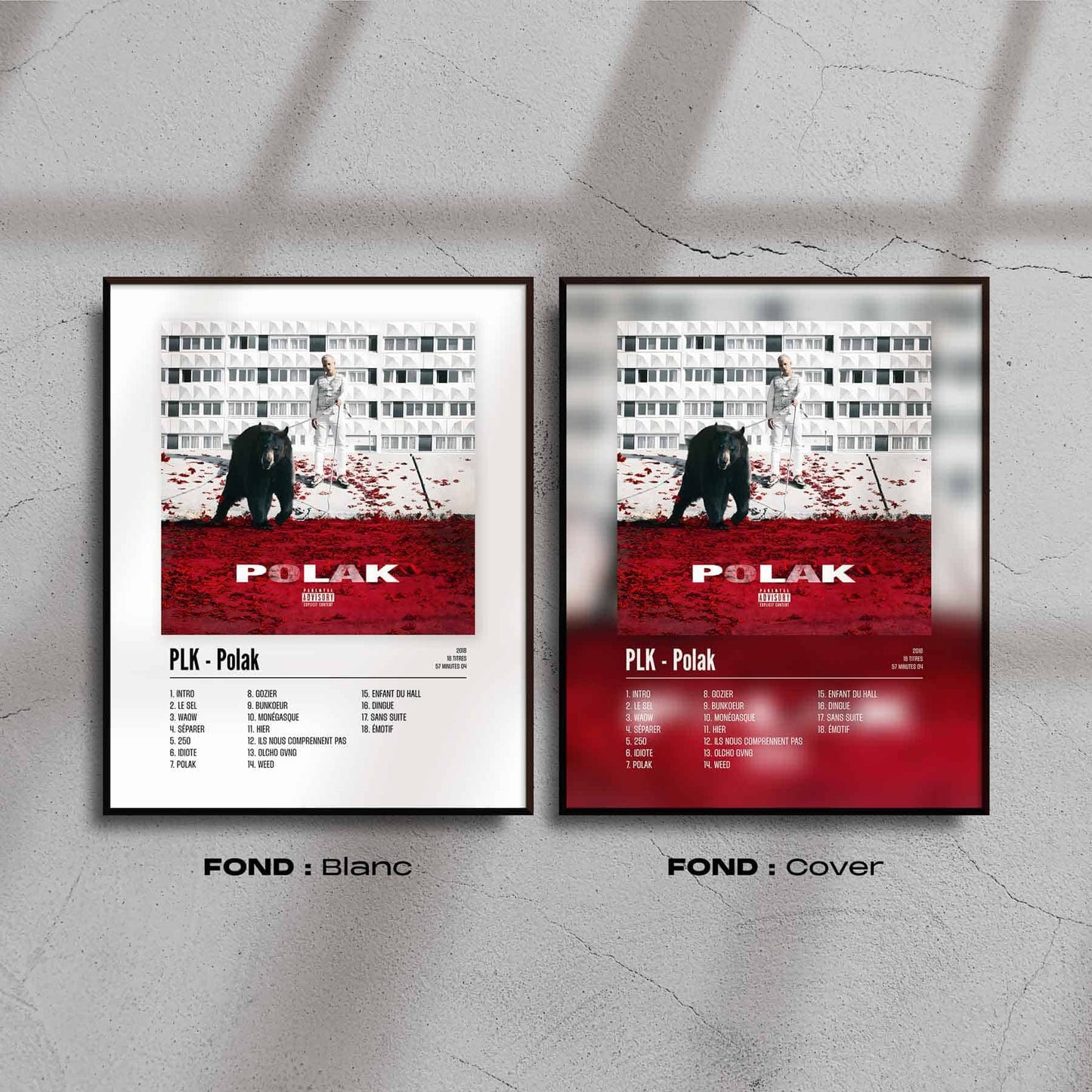 PLK - Polak
