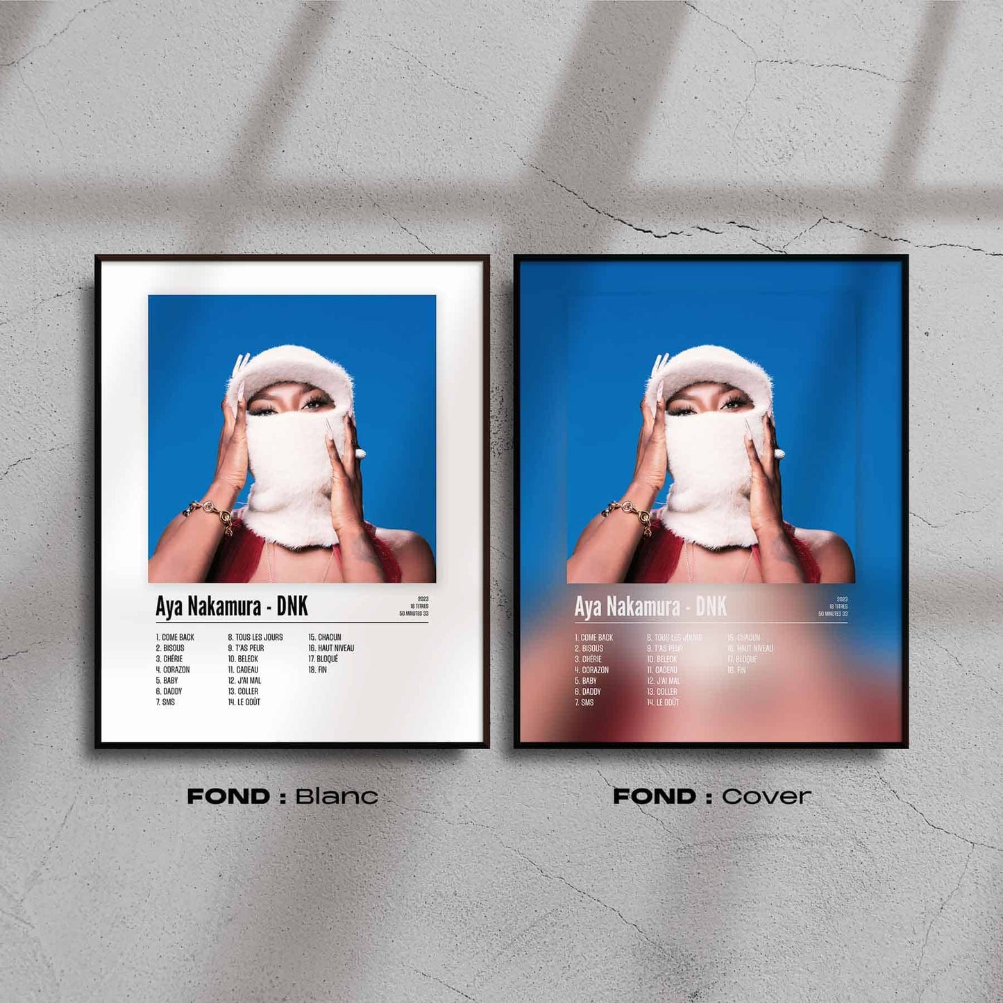 Poster Aya Nakamura - DNK