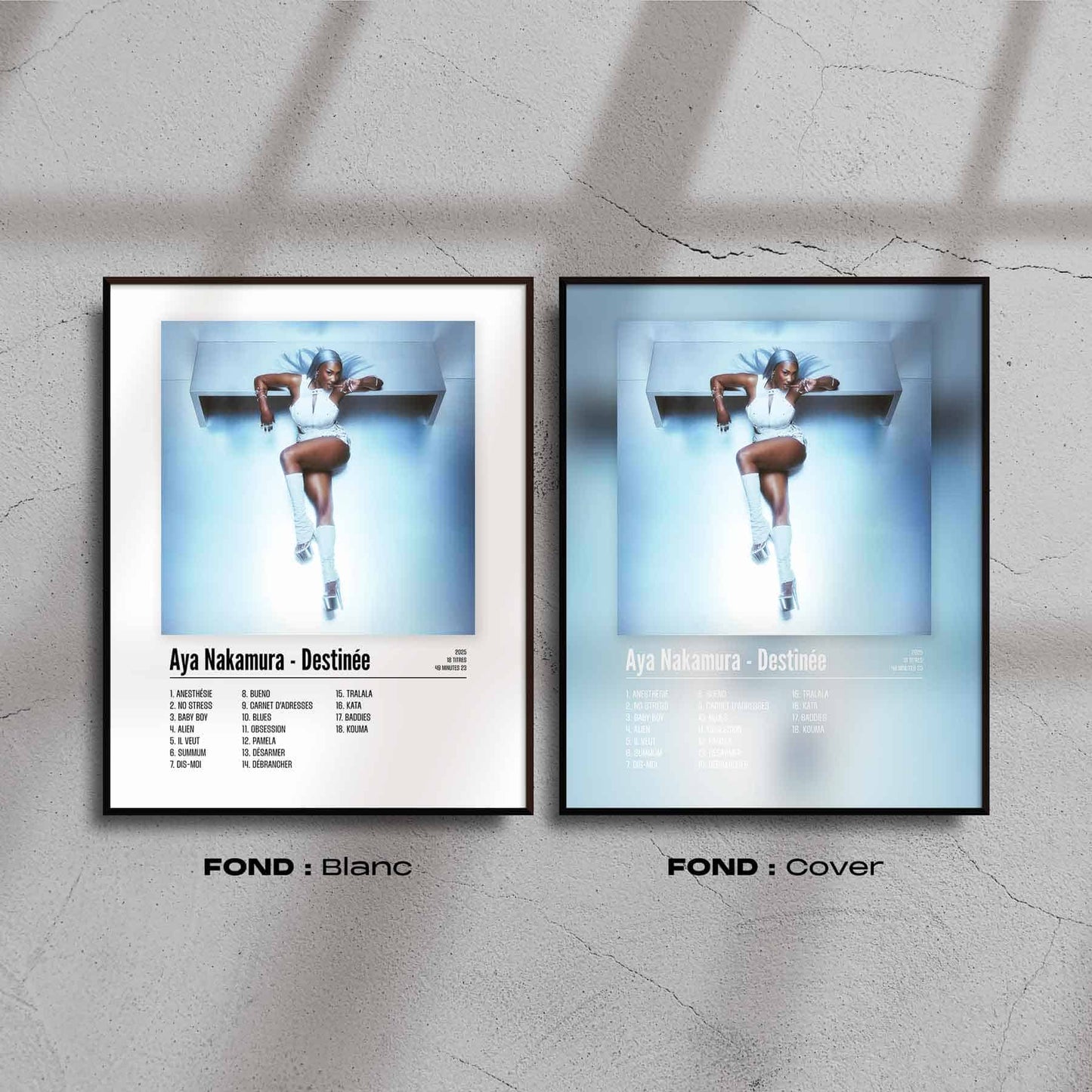 Poster Aya Nakamura - Destinée