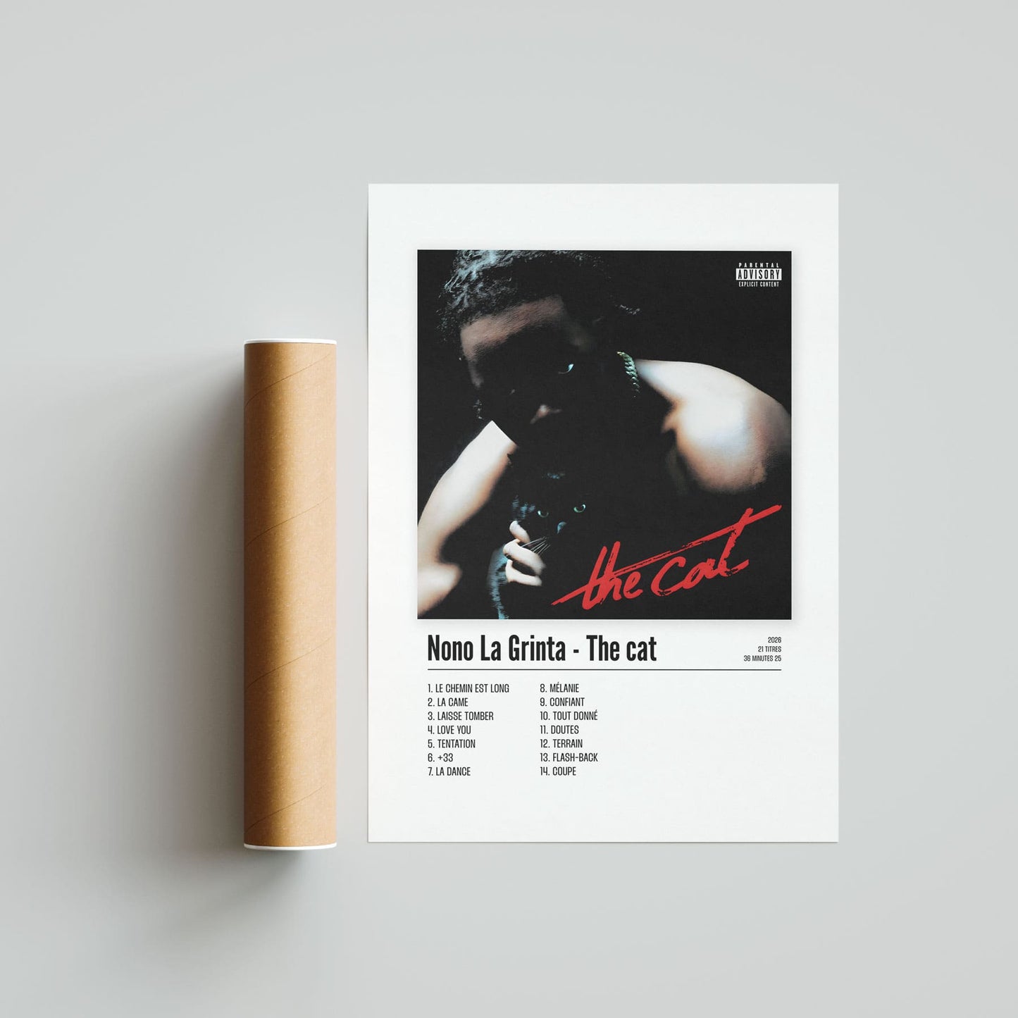 Poster Nono La Grinta - The cat